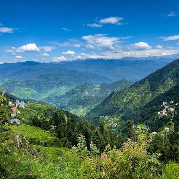 Bakrota Hills.jpg