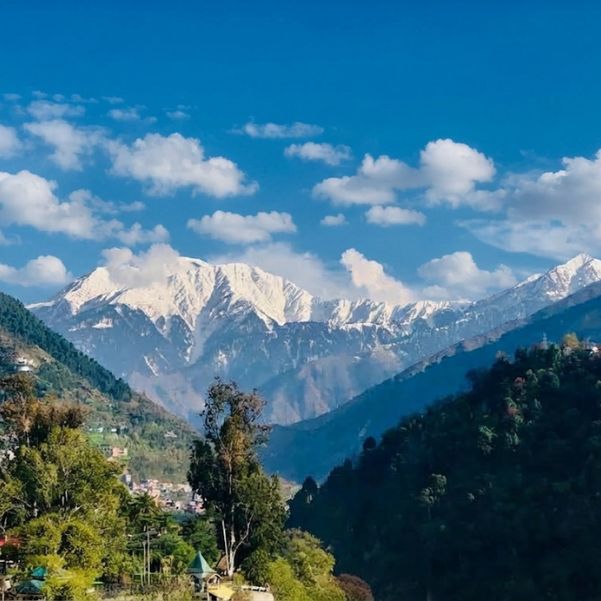 Question 1: What Is Your Registered Business Name and Himachal Tourism Registration Status?