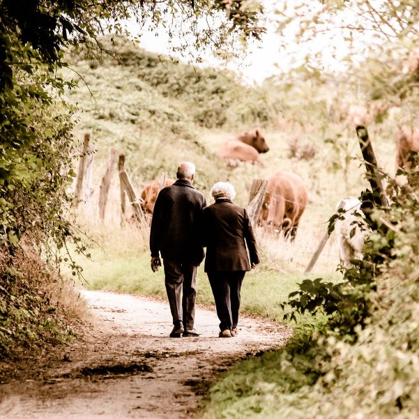 Dharamshala Trip With Elderly Parents