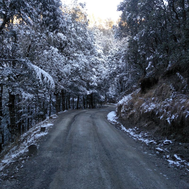 What Changed for Himachal Road Trips in 2026?