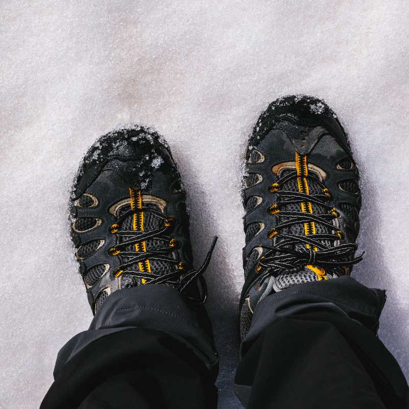 Snow Shoes.jpg
