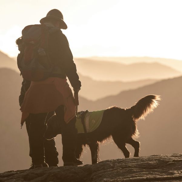 Manali with Pets