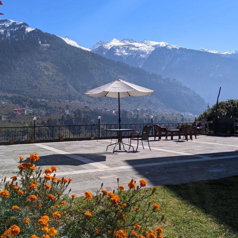 Can you order Jain food online in Manali in 2026?