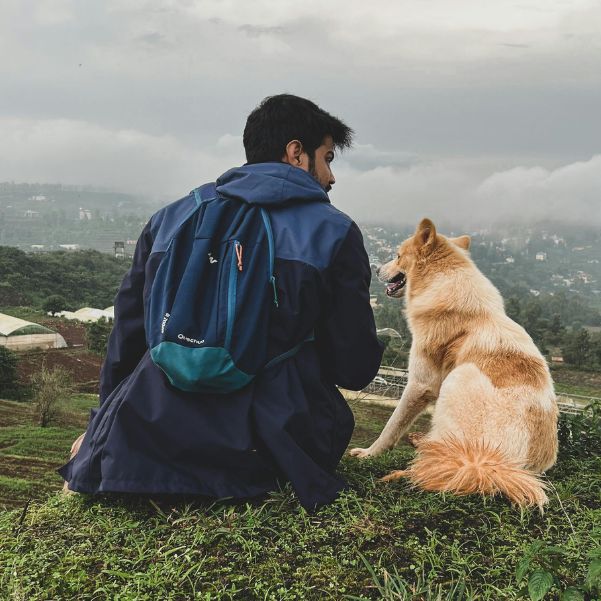 Can You Take Your Dog to Manali by Road.jpg