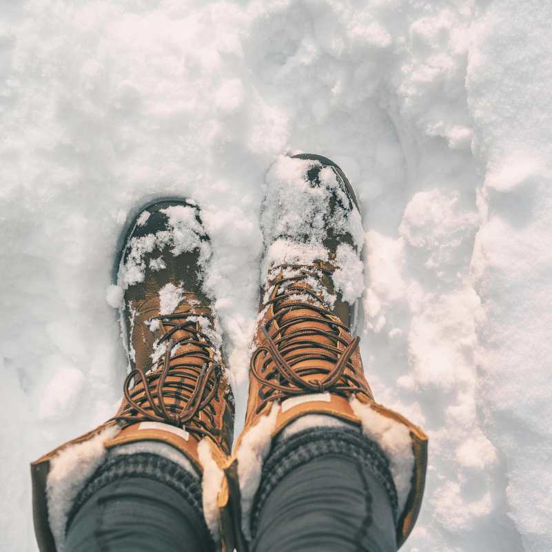 Snow Shoes (2).jpg