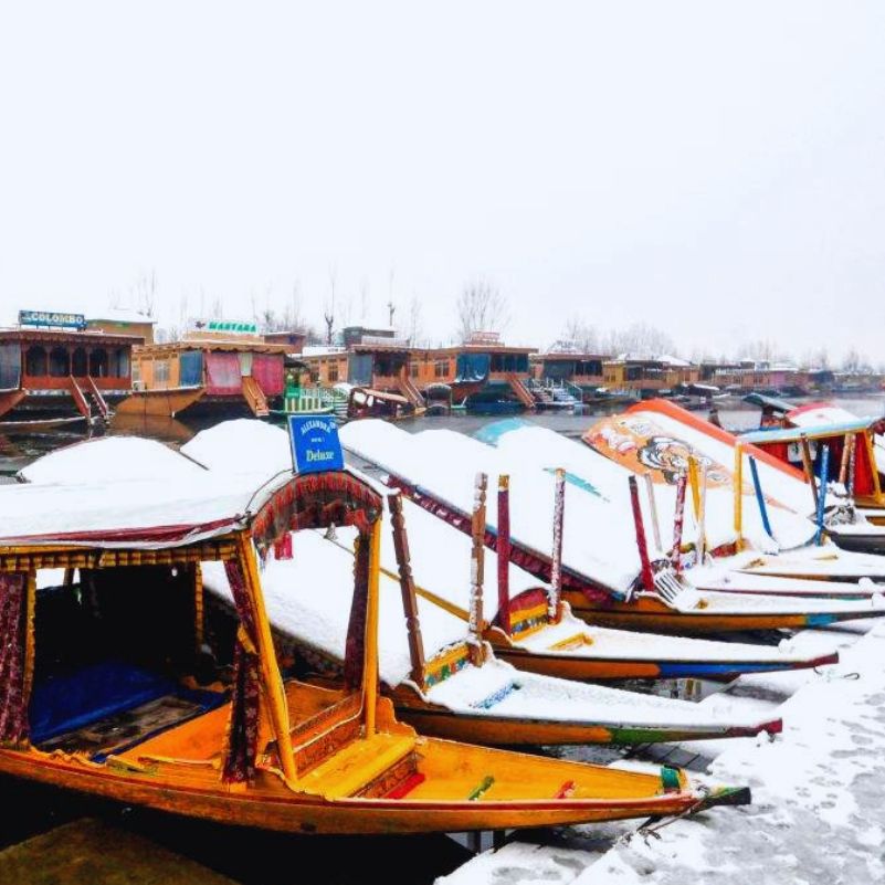 Scenic winter view of Dal Lake with peaceful shikara boats in Srinagar.jpg