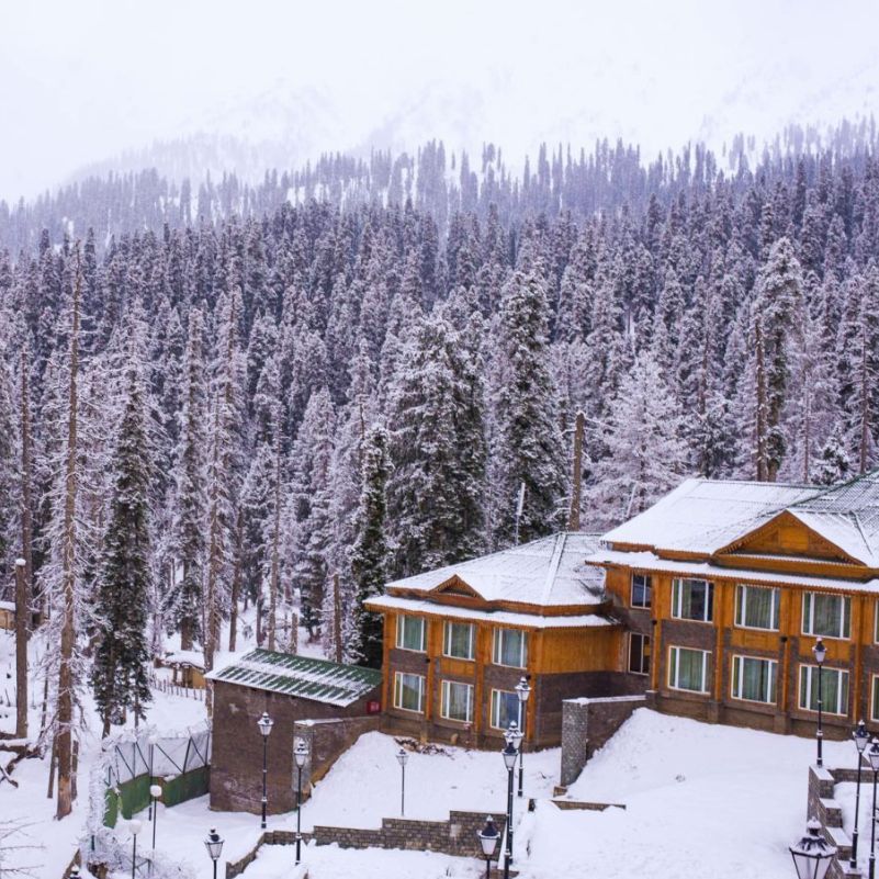 Fresh snowfall transforming Gulmarg into a beautiful winter destination.jpg