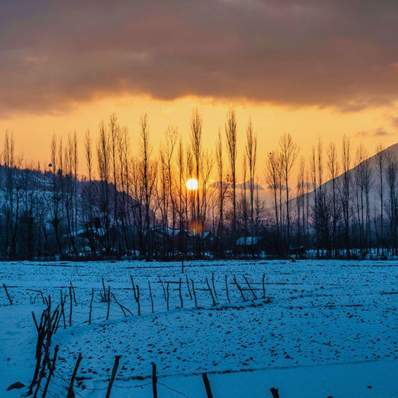 What Most Tourists Get Wrong About Sonamarg in February