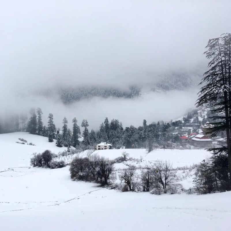 What About Shangarh, Sainj and Barot?