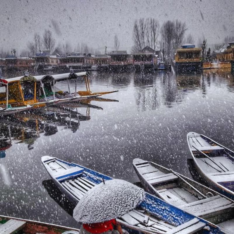 Kashmir Honeymoon in January