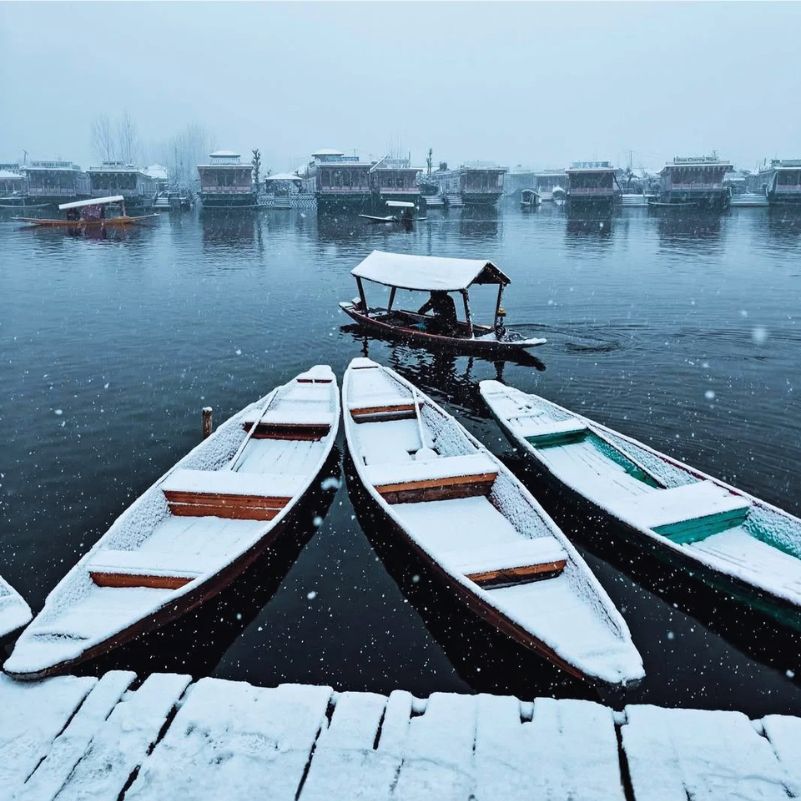 Traditional shikara boats floating on Dal Lake during winter in Srinagar.jpg