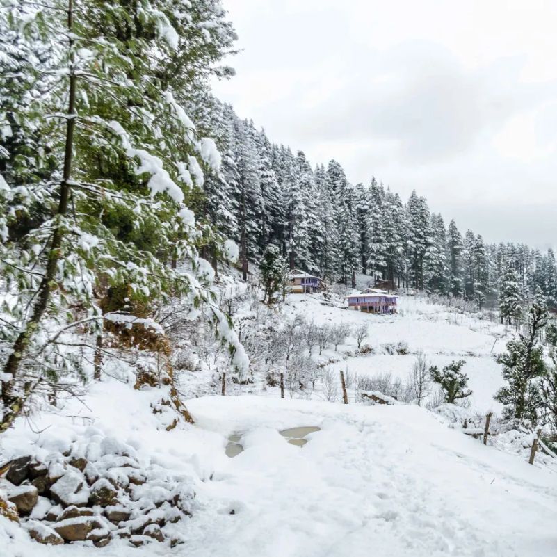 Does It Snow in Himachal in October?