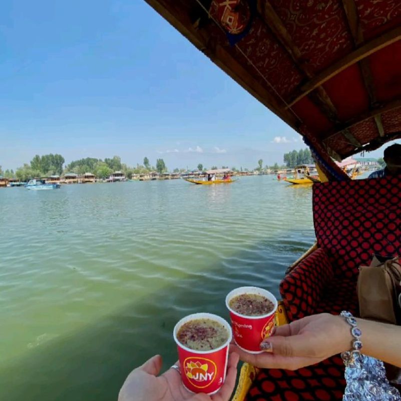 Plan C: A Revised Srinagar Schedule With a Local Driver