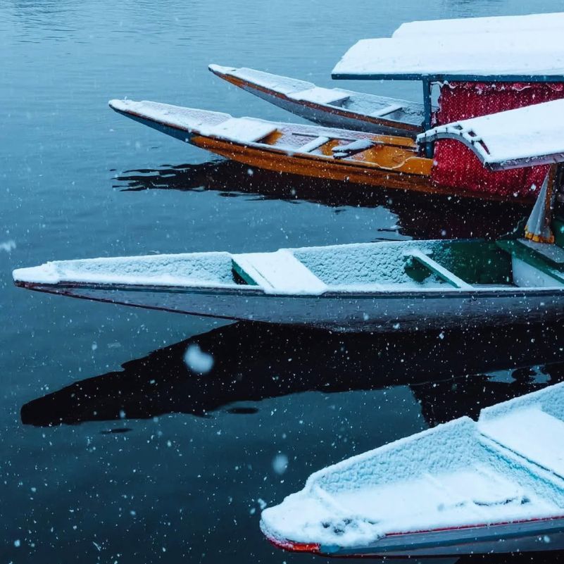 Peaceful winter morning at Dal Lake in Srinagar Kashmir.jpg
