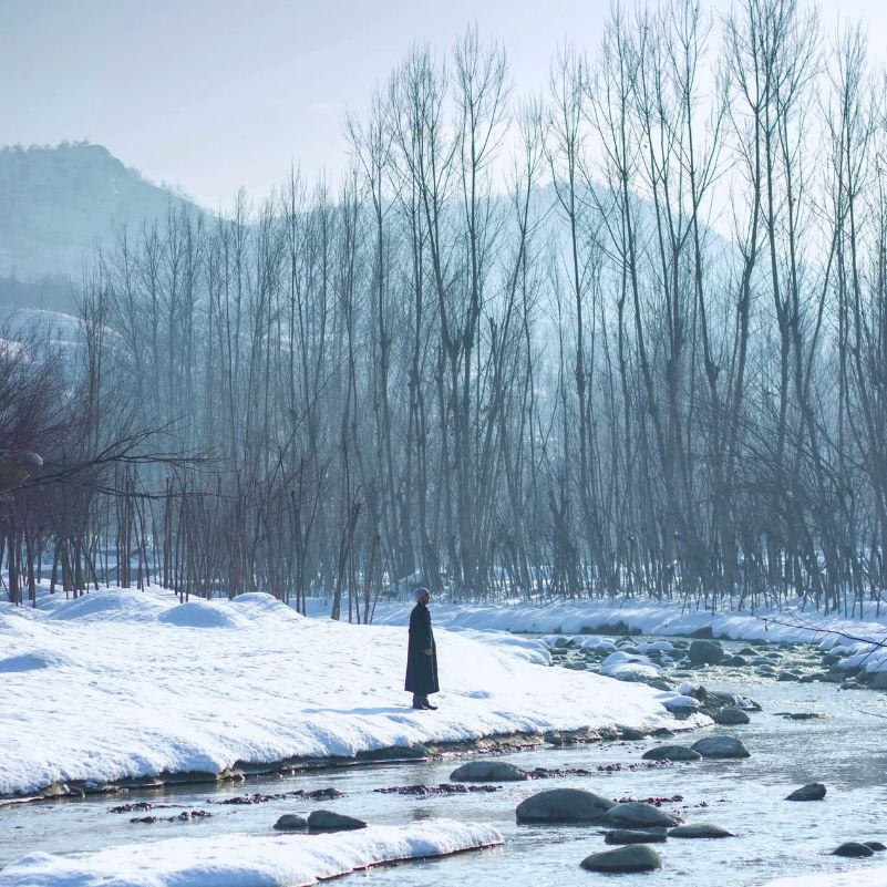 Srinagar showcasing the breathtaking winter beauty of Kashmir.jpg