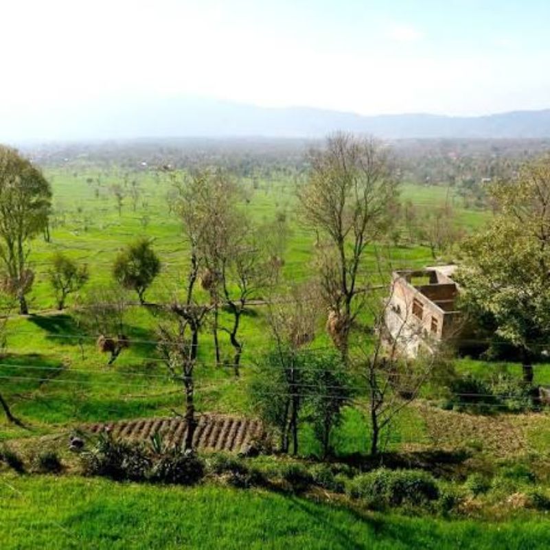 Gunehar Village.jpg