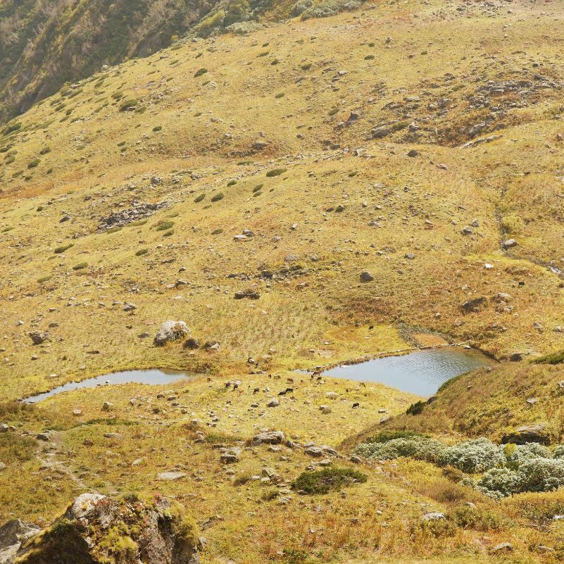 Yulla Kanda Kinnaur (34).jpg