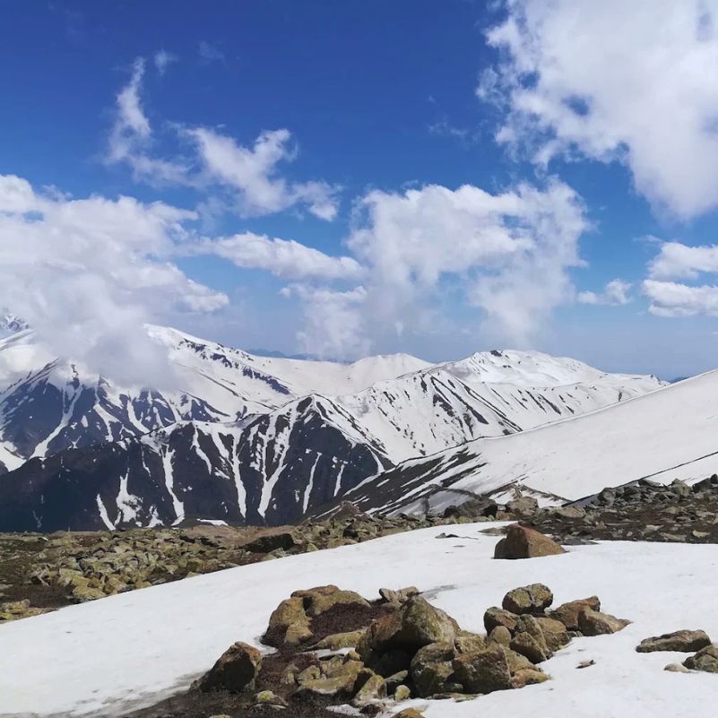 Snow-covered pine forests surrounding Gulmarg in Jammu and Kashmir.jpg