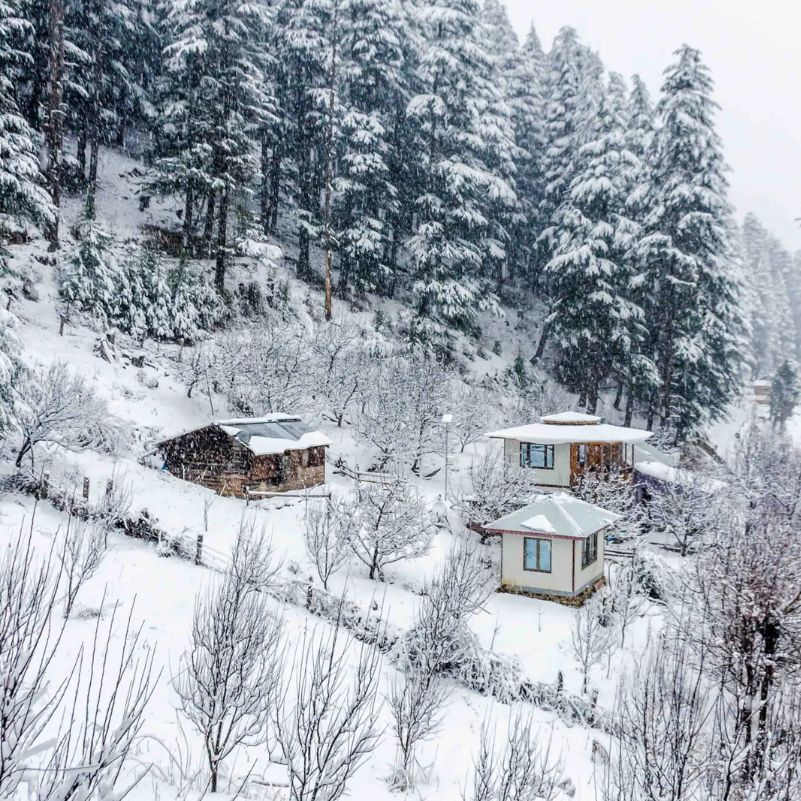 How Much Does a Himachal Trip Cost in January 2027?