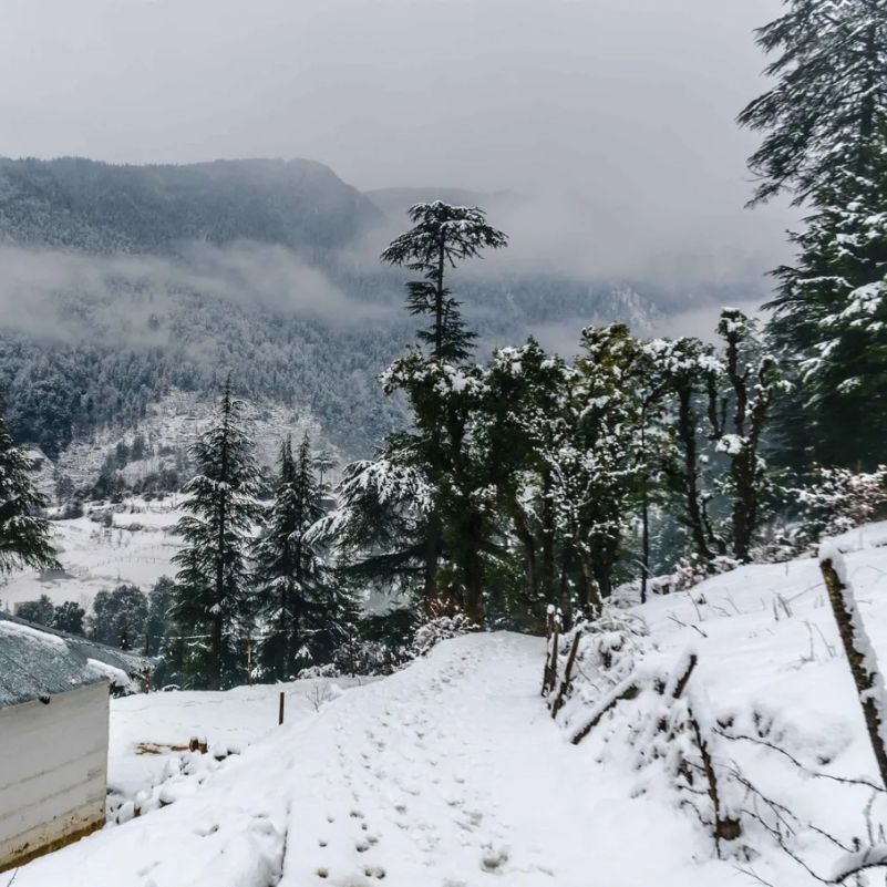 What a Himachal Snow Trip Without Trekking Actually Means