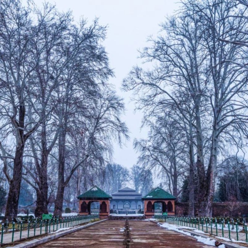 Snow-covered Mughal gardens at Shalimar Bagh showcasing the winter beauty of Srinagar.jpg