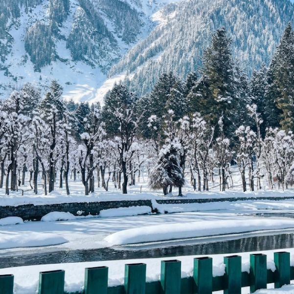Which Popular Kashmir Attractions Should You Skip in Winter?