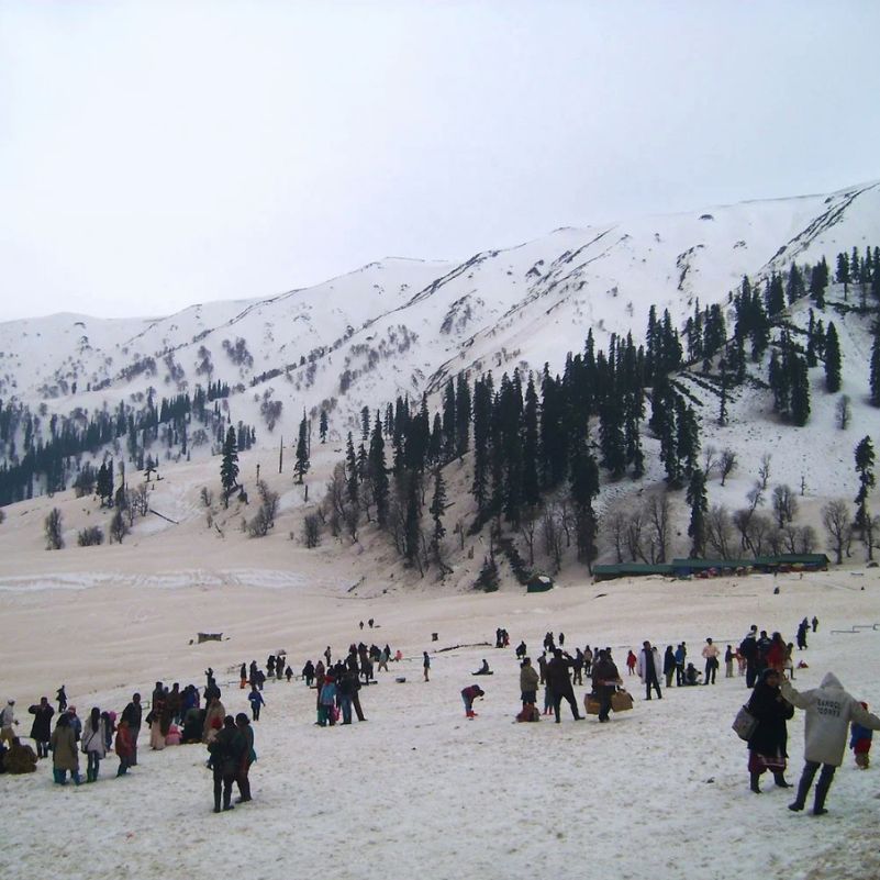 Gulmarg showcasing the breathtaking snowy landscapes of Kashmir during winter.jpg