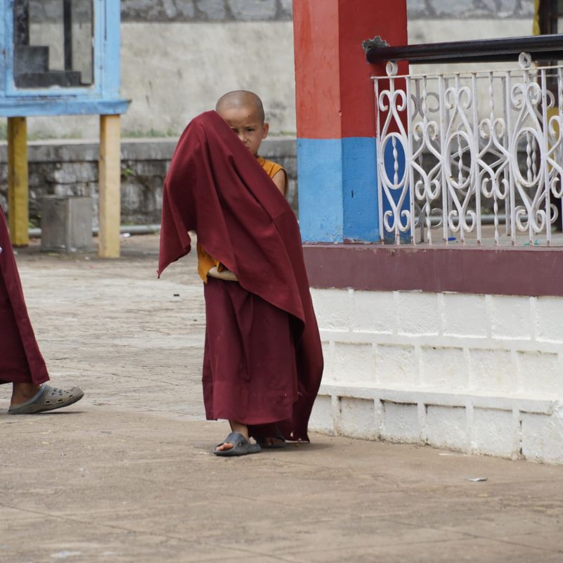 Explore the Tibetan Colony on Foot