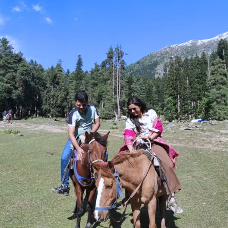 Relaxed Kashmir Family Tour Package
