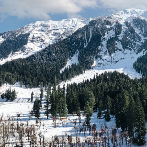 Pahalgam: Best for Quiet River Views and a Relaxed Winter Stay