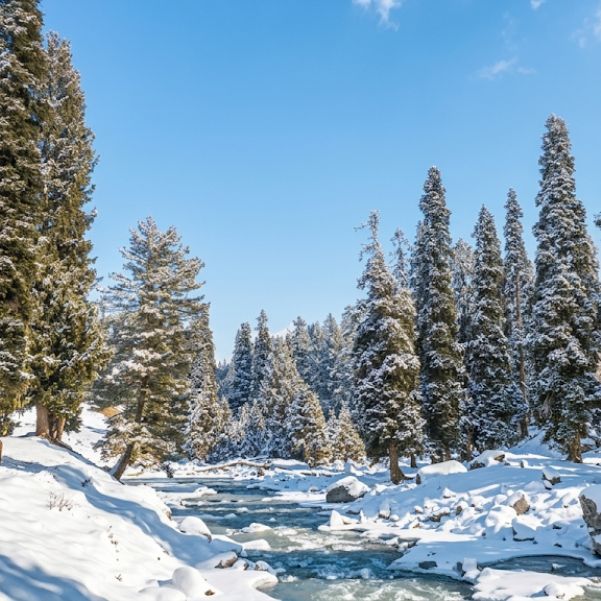 Sonamarg vs Gulmarg in Winter_ What Is the Main Difference.jpg