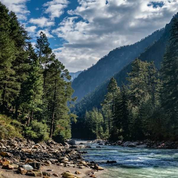 What Is Kasol Really Like in 2026.jpg