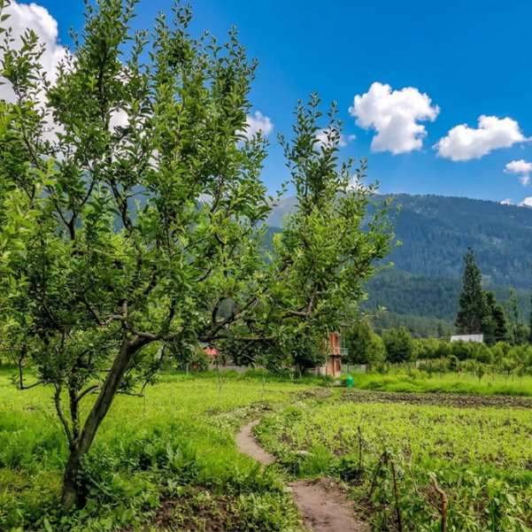 What Is the Best Time to Visit Kasol and Parvati Valley.jpg