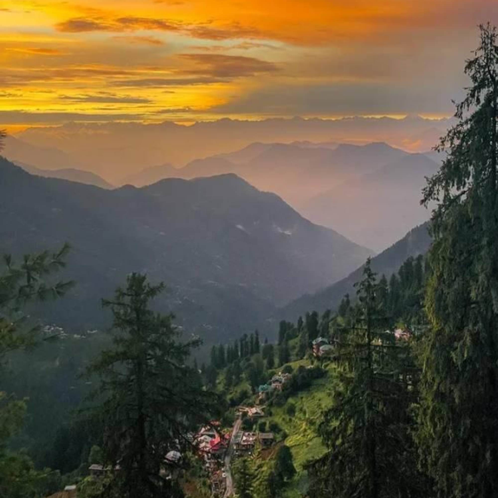 Trekking trails in Shoja.jpg