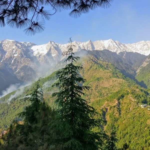 Where to Stay in Dharamkot.jpg