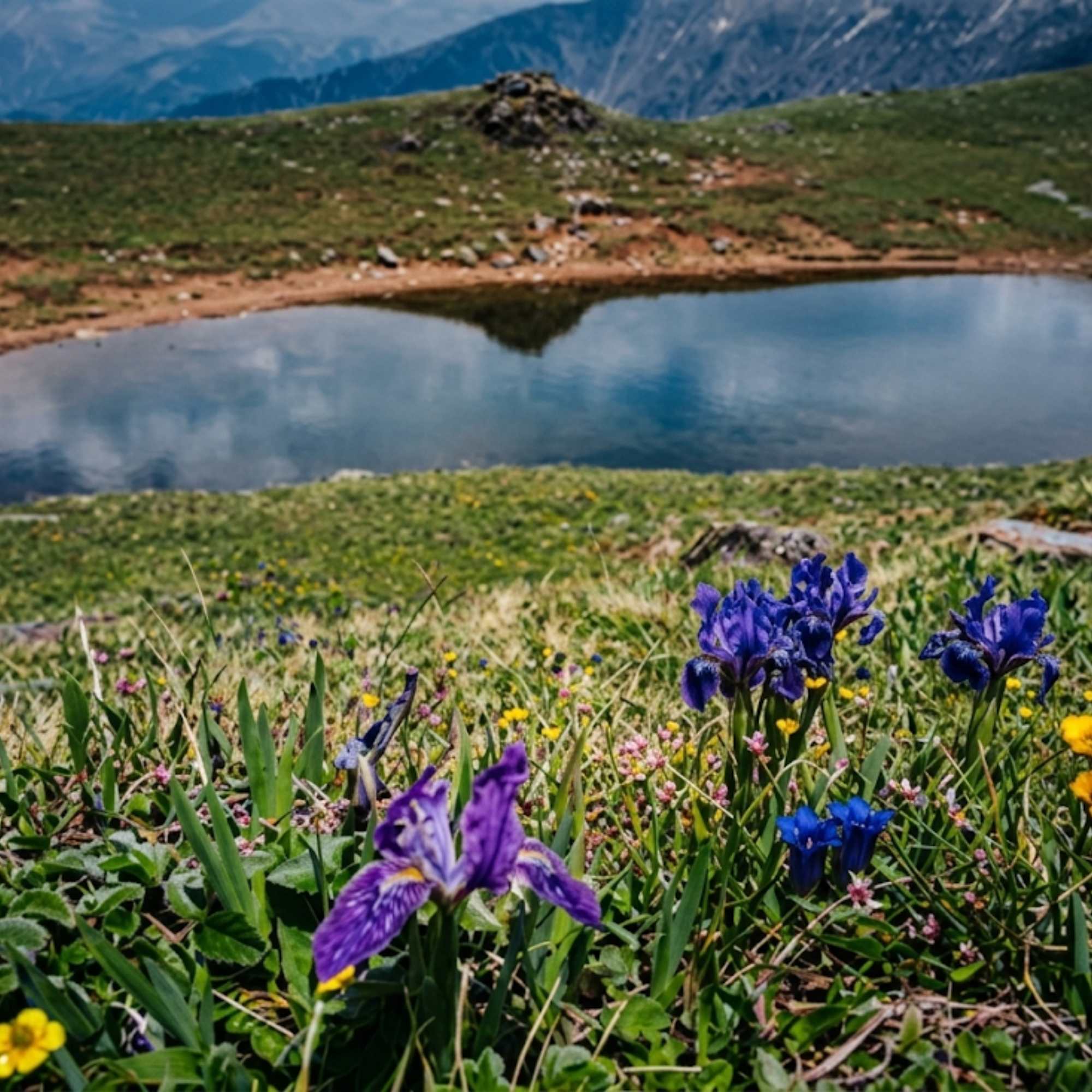 Chanshal Pass vs Other Himachal Trips in June