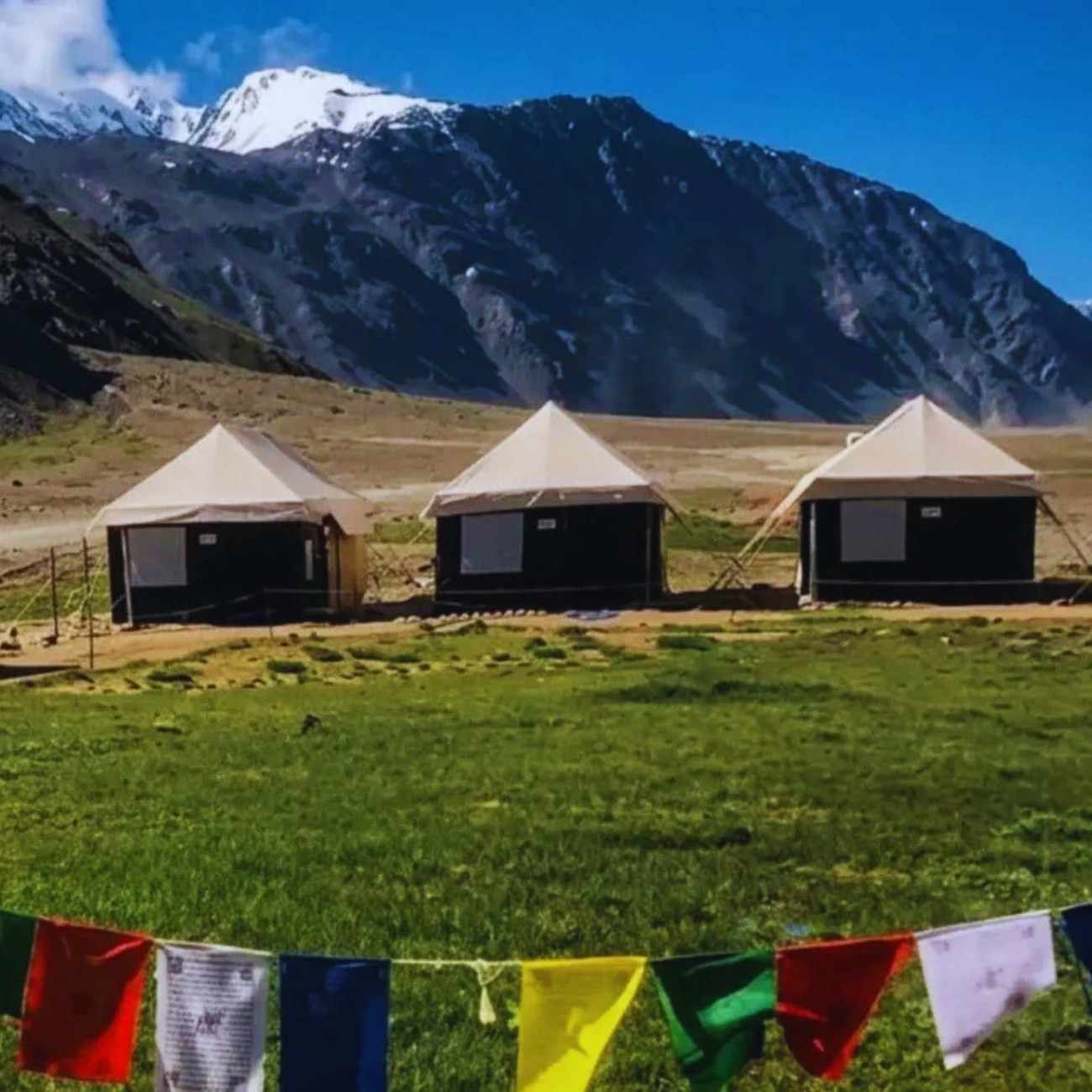 Are Chandratal Camps Open in 2026?