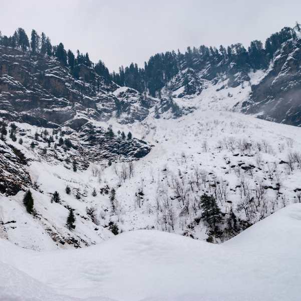 Solang Snowfall Updates_ What Travellers Should Realistically Expect.jpg