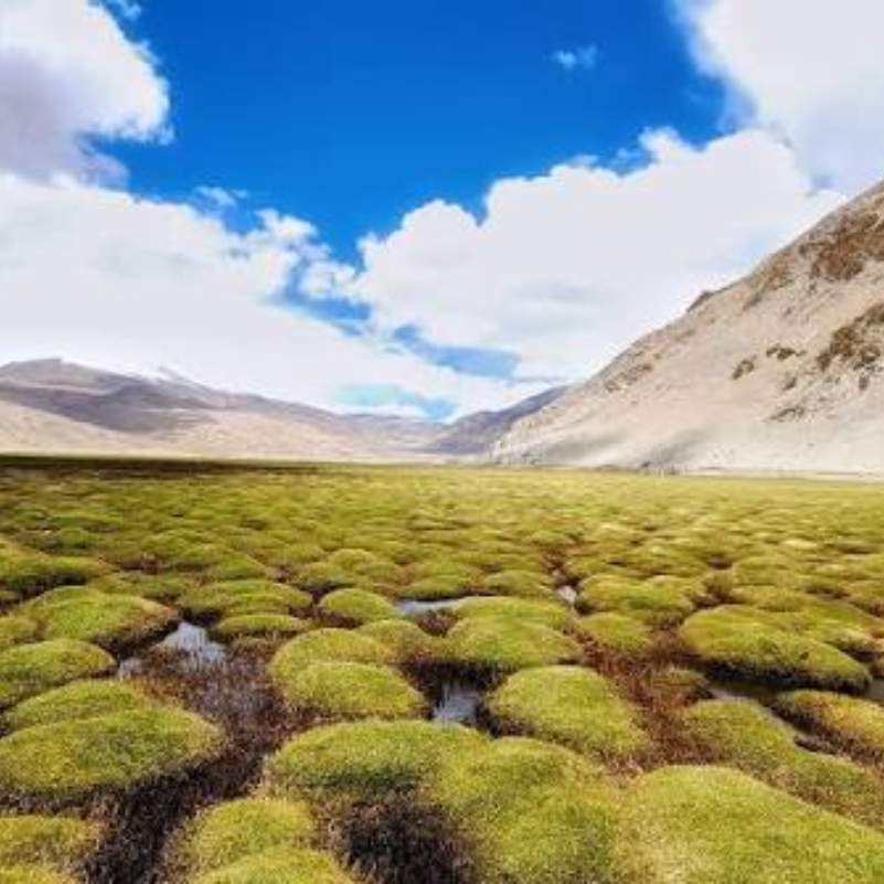 Where is Puga Valley in Ladakh.jpg