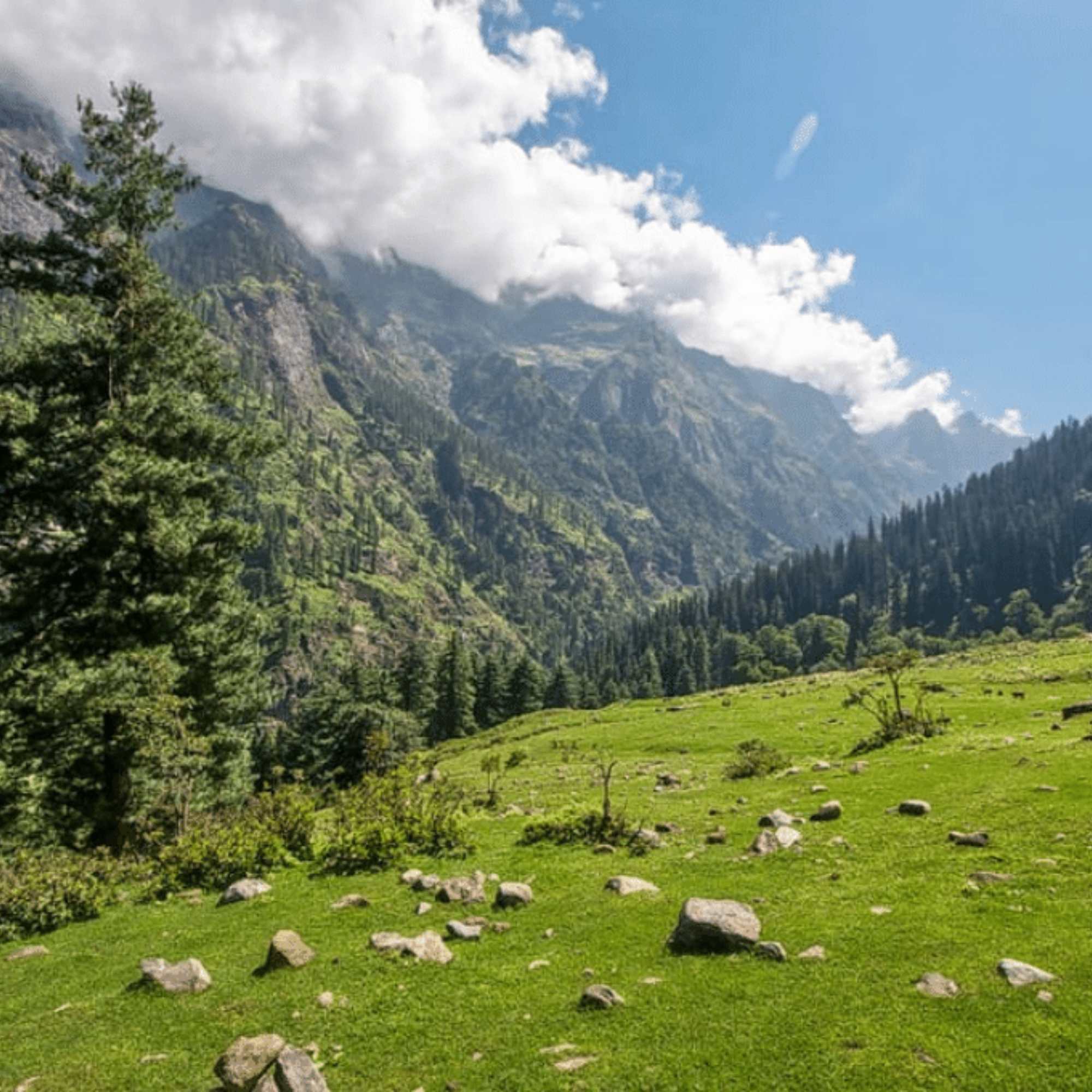 Panoramic view from Green Valley viewpoint between Shimla and Kufri