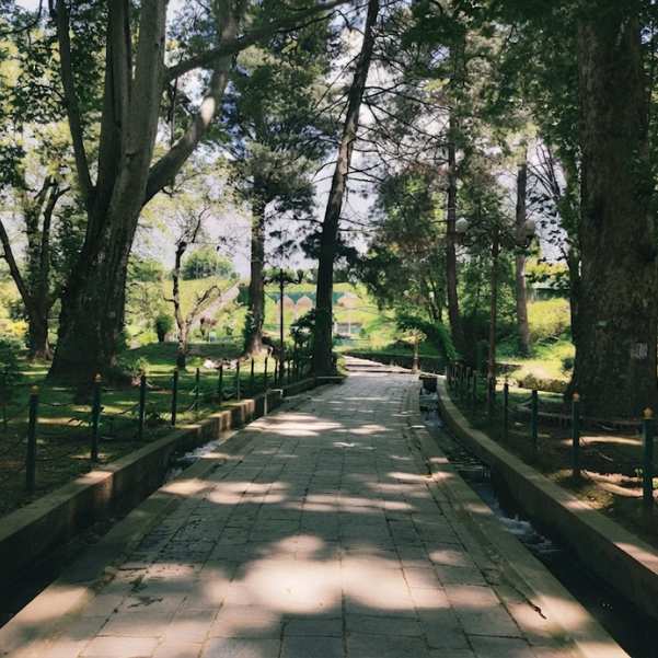 Harwan Garden.jpg