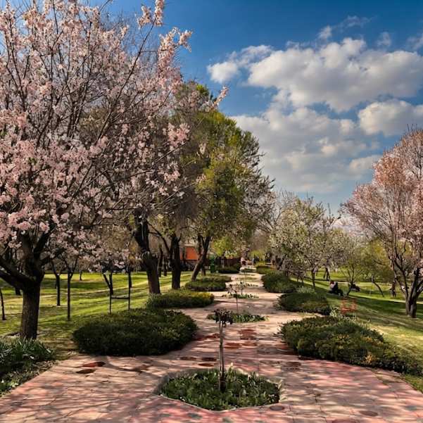 Badamwari Garden.jpg