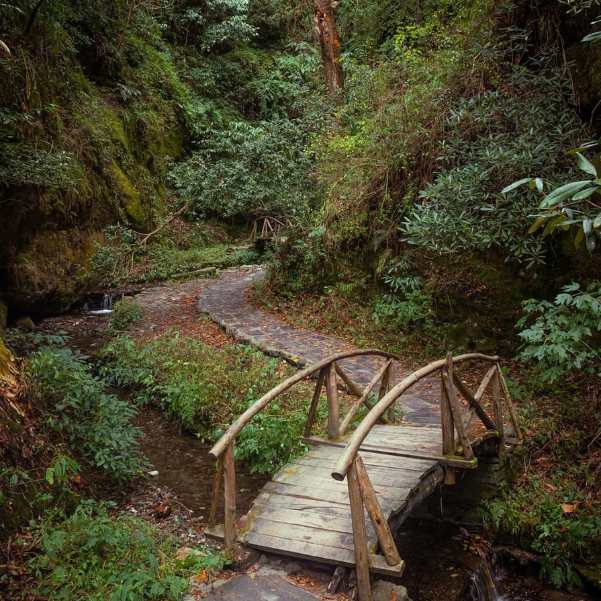 Which Places in and Around Jibhi Are Most Romantic.jpg