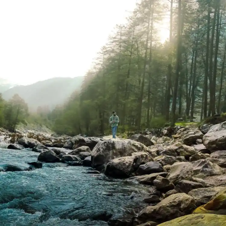Are hostels and mixed dorms safe in Kasol?