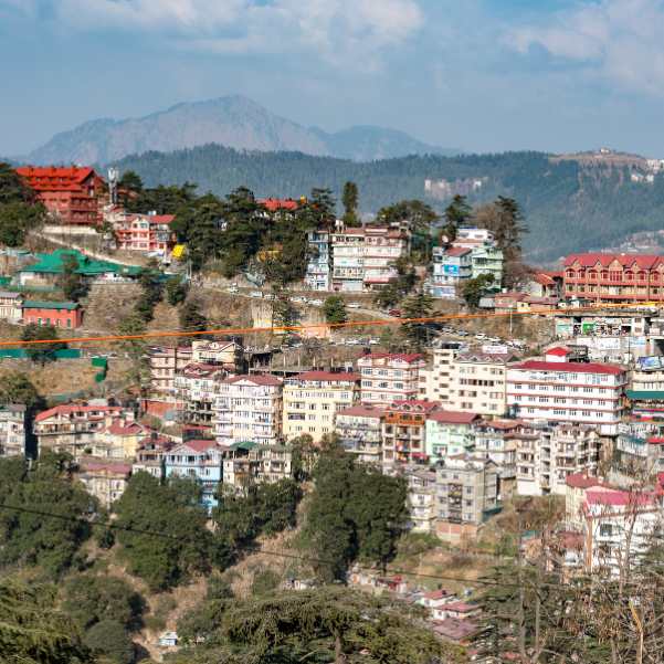 Our Verdict_ Who Should Choose Dharamshala and Who Should Choose Shimla.jpg