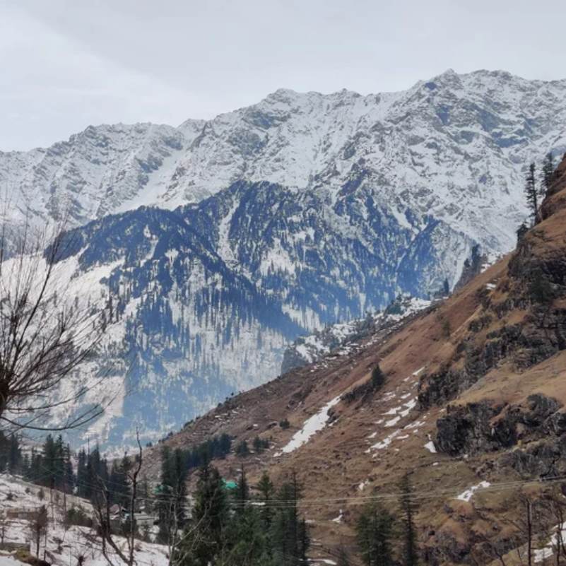 Fresh snow covering the slopes at Gulaba near Manali