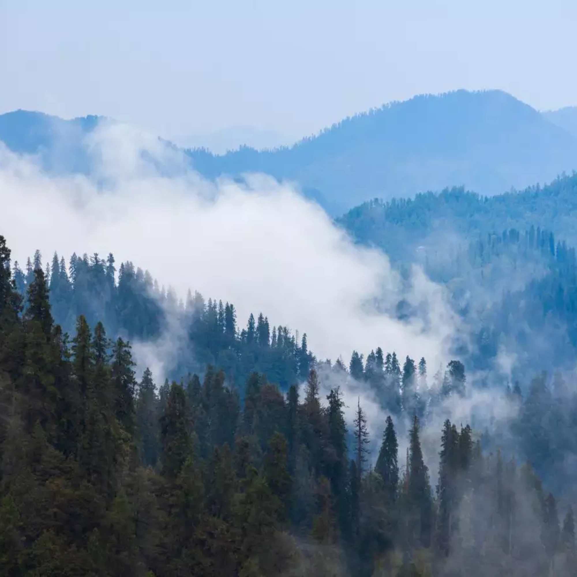 Mist covered hills of Fagu creating a scenic landscape.jpg