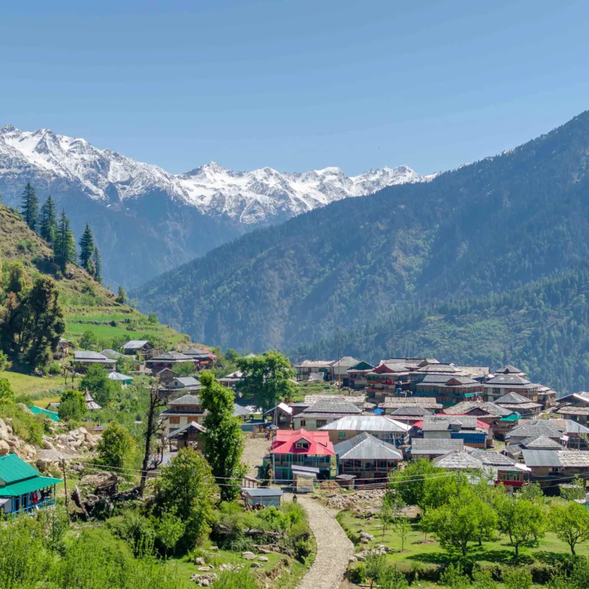 Shainsher Village