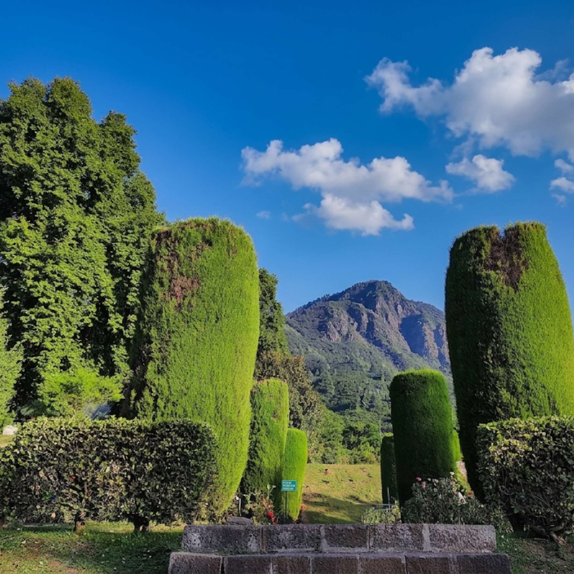 Srinagar