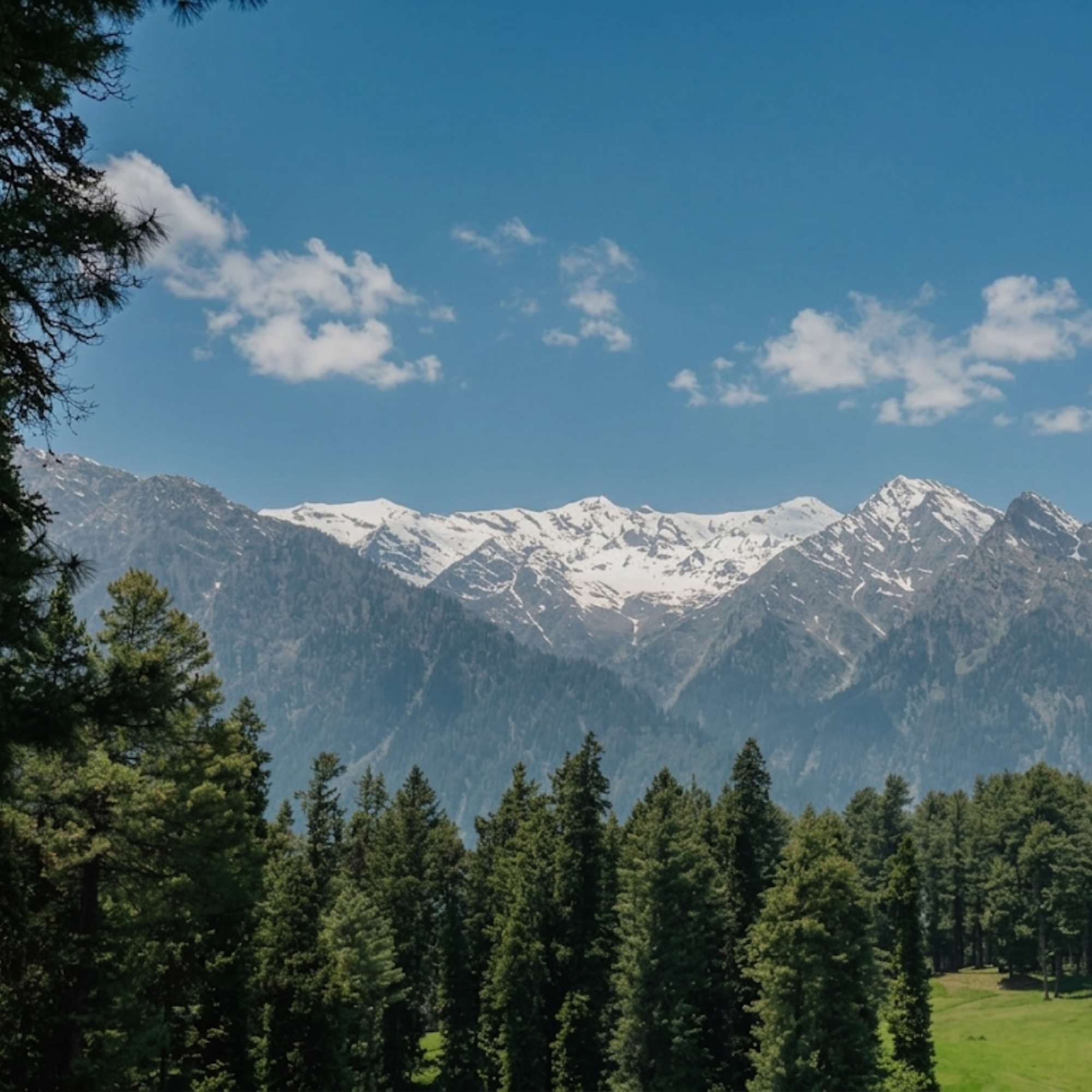 Explore the Natural Beauty of Baisaran Valley Kashmir.jpg